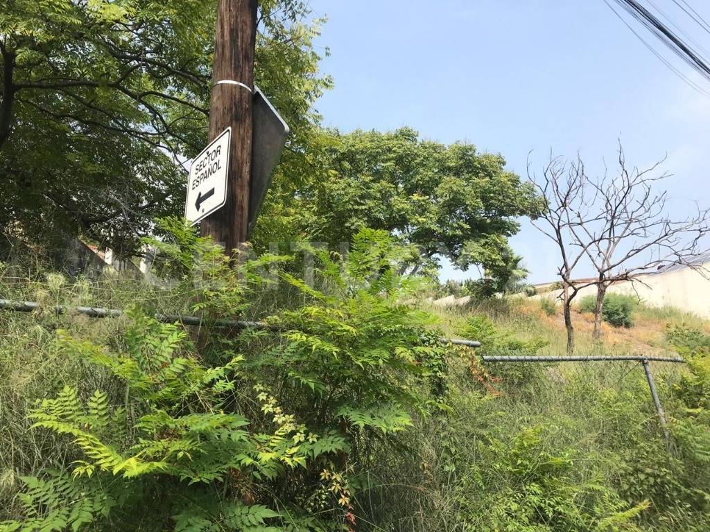 San Pedro Garza García, נואבו לאון 66290, מקסיקו