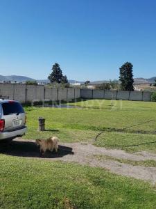 San Andrés Cholula, Puebla 72830, Meksyk