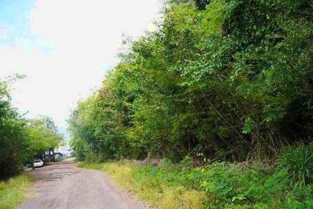 La Sagesse Acre Lot, La Sagesse, St.david West Indies, Grenada