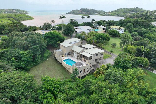 Westerhall Beauty, Pomme Canelle, Westerhall Point, St.david West Indies, 格林纳达