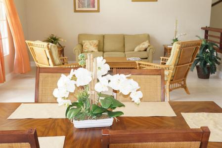 Westerhall Beauty, Pomme Canelle, Westerhall Point, St.david West Indies, 格林纳达