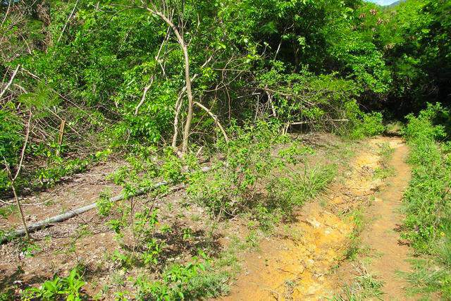 Hope City Development - Lot No. 10, Hope City, Hope, St.andrew West Indies, Grenada