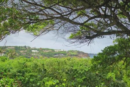 New Westerhall Point Lot. No.53, New Westerhall Point, New Westerhall Point, St.george West Indies, Grenada