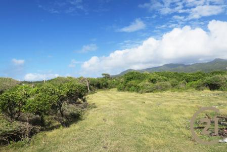 3 Acres La Tante Pointe, La Tante, Saint David's, St.david West Indies, Grenada