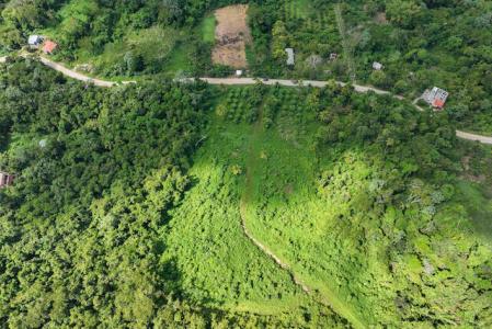 Bacolet Farm Lot, Bailies Bacolet, Bailies Bacolet, St.david West Indies, Grenada