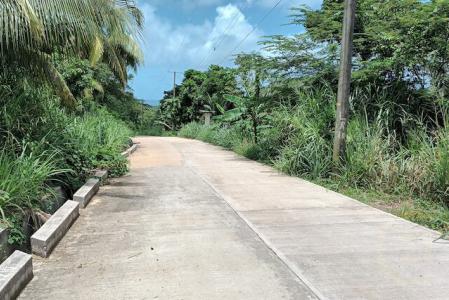 Bacolet Farm Lot, Bailies Bacolet, Bailies Bacolet, St.david West Indies, Grenada