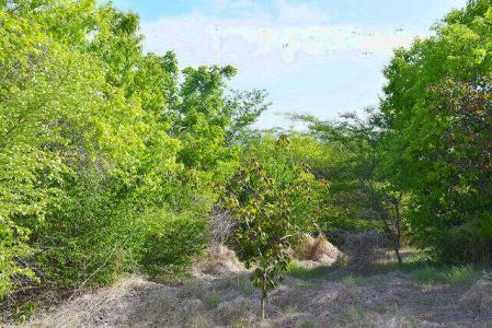 Point Salines Lot, Point Salines, Point Salines, St.george West Indies, Grenada