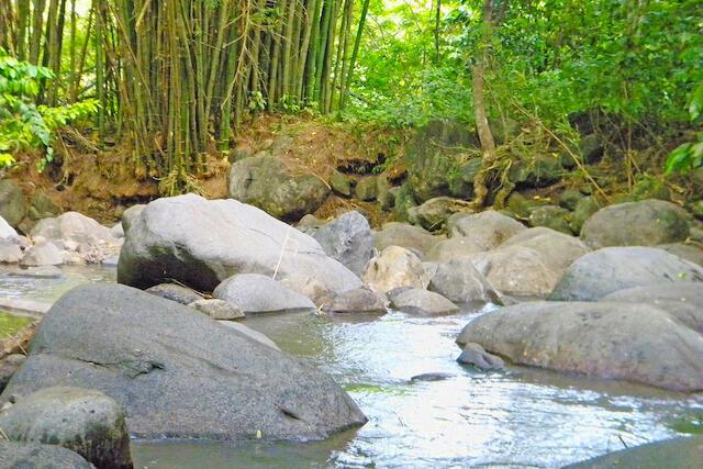 La Pastora Estate Lot, La Pastora, Saint David's, St.david West Indies, Grenada