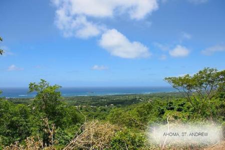 9 Acres - Ahoma Prime Development, Ahoma, Tivoli, St.andrew West Indies, Гренада