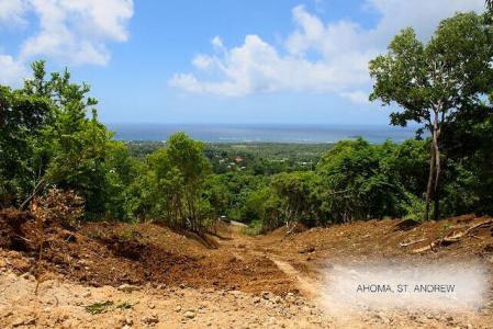 9 Acres - Ahoma Prime Development, Ahoma, Tivoli, St.andrew West Indies, Гренада