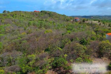 9 Acres - Ahoma Prime Development, Ahoma, Tivoli, St.andrew West Indies, Гренада