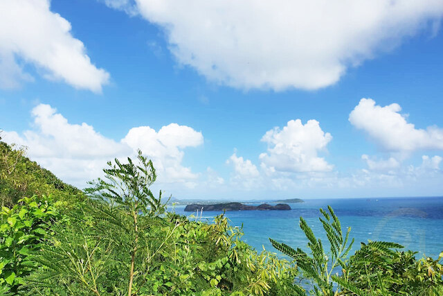 Hope City Phase C, Lot 46 - 59, Hope City, Hope, St.andrew West Indies, غرينادا