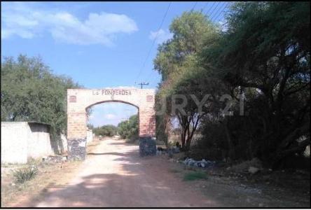 Gay Dalton 37, Colon, 克雷塔罗 76294, 墨西哥