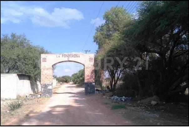 Gay Dalton 37, Colon, 克雷塔罗 76294, 墨西哥