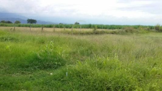 Palmira, Valle del Cauca 110231, Colombia