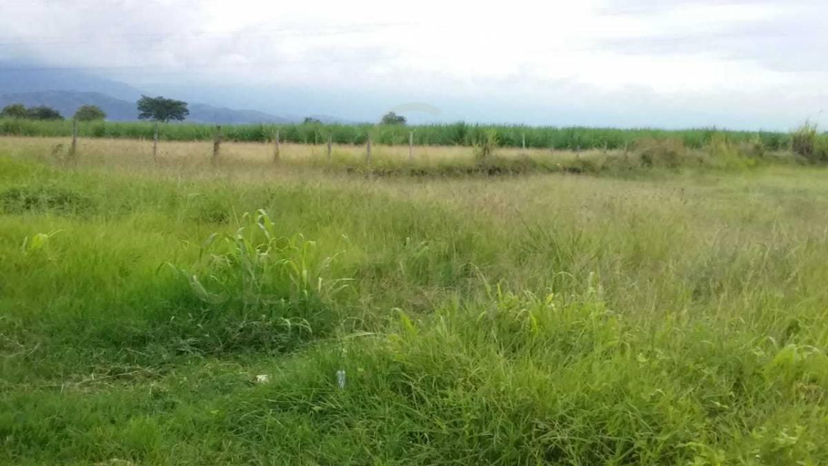 Palmira, Valle Del Cauca 110231, Colombia