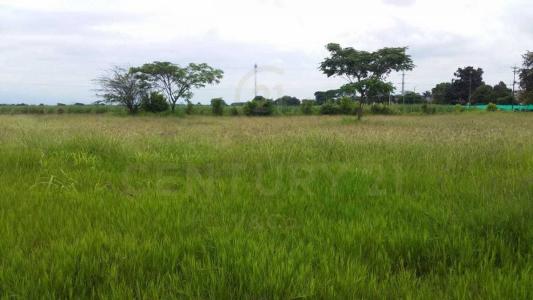 Palmira, Valle Del Cauca 110231, Colombia