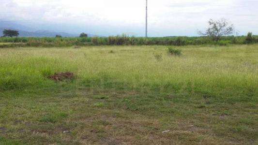 Palmira, Valle Del Cauca 110231, Colombia