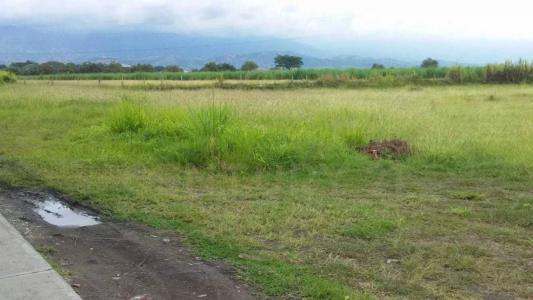 Palmira, Valle Del Cauca 110231, Colombia