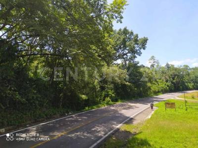 Carretera Palenque - Ocosingo km. 68 0 S/N, Palenque, Chiapas 29960, Mexico