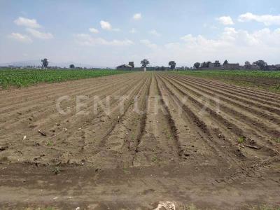 Carril sin Nombre S/N, Chalco, Estado De México 56620, México
