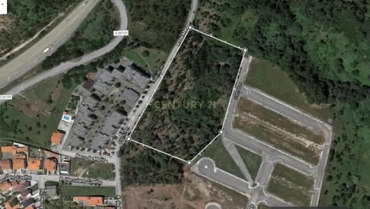 Figueira Da Foz, 科英布拉 3080-847, 葡萄牙