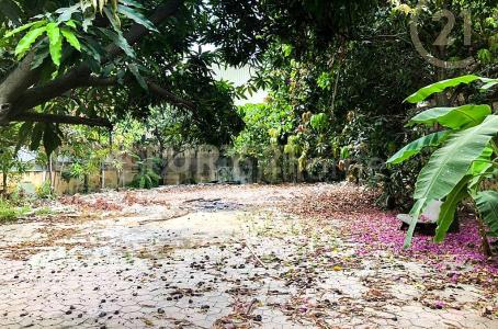 Phsar Daeum Thkov, Chamkar Mon, Phnom Penh, Cambogia