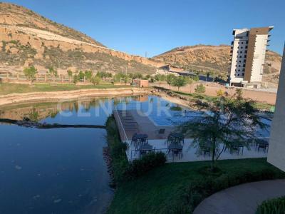 チワワ, チワワ 31115, メキシコ