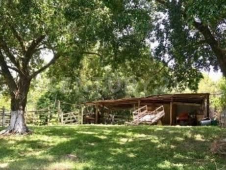 Ra. Caparroso S/n, Macuspana, 塔巴斯科 86748, 墨西哥