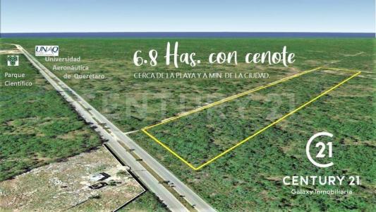 Mérida, Yucatan 97302, Mexico