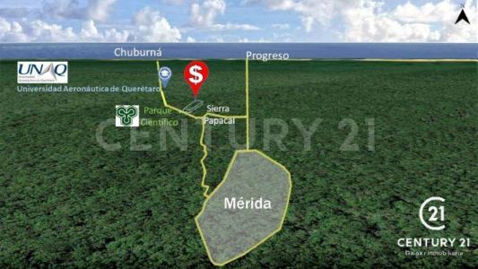 Mérida, Yucatán 97302, México