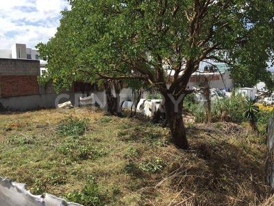 Renta Terreno zona Recta y Esteban de Antuñano , Puebla, Puebla 72001, Mexico