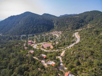 Jerez, サカテカス 99301, メキシコ