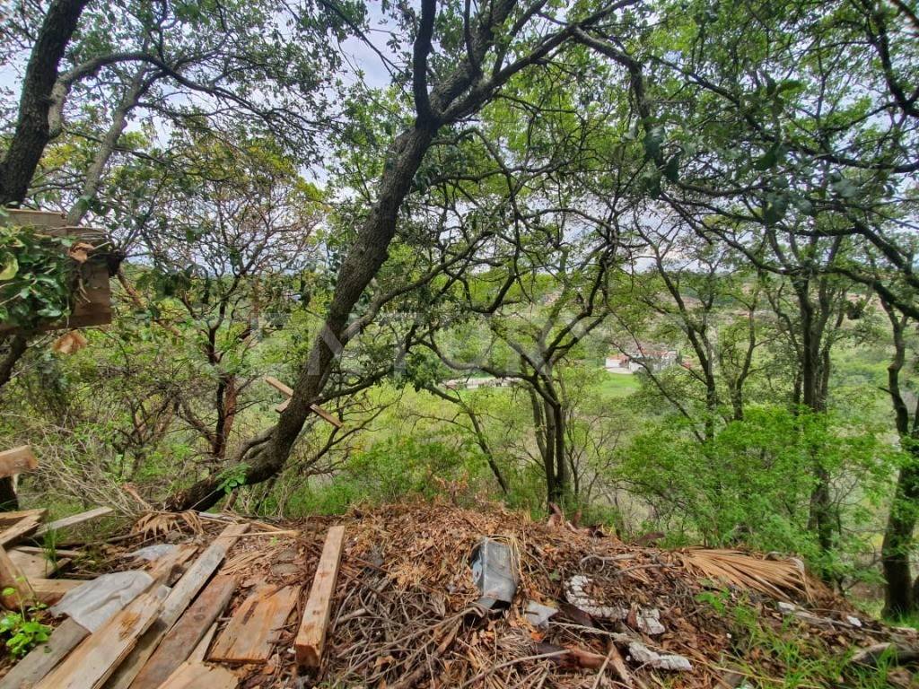 Privada 2 Privada de Nothingam Lt. 20 Mz. 17,, Atizapán De Zaragoza, ولاية مكسيكو 52938, المكسيك