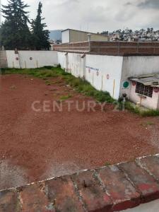 Isidro Fabela 405, Toluca, Estado De México 50070, México