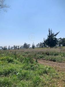 마드리드, 쿤디나마르카 250038, 콜롬비아