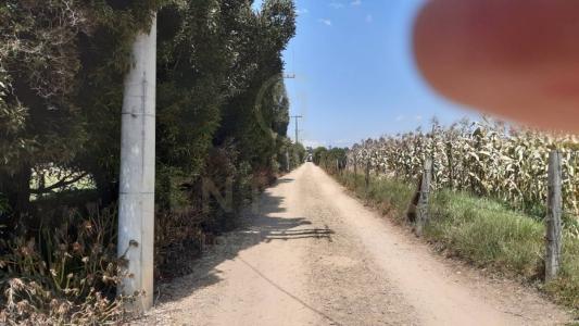 마드리드, 쿤디나마르카 250038, 콜롬비아