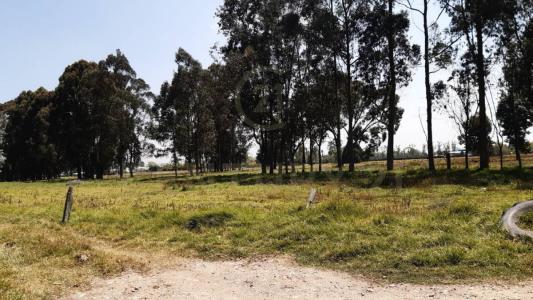 마드리드, 쿤디나마르카 250038, 콜롬비아