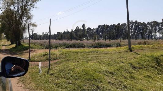 마드리드, 쿤디나마르카 250038, 콜롬비아