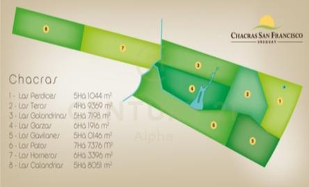 ruta 9 a 30 km de José Ignacio, Punta Del Este, Maldonado, Uruguay