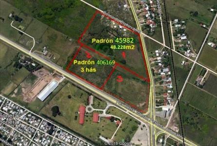 Colón, Montevideo, ウルグアイ