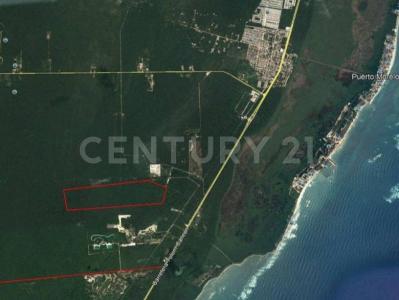 Ruta de los Cenotes 7, Puerto Morelos, Quintana Roo 77580, Mexico