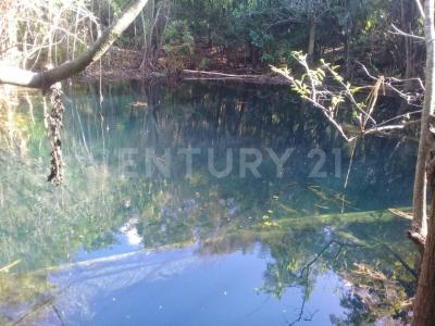 Ruta de los Cenotes 7, Puerto Morelos, Quintana Roo 77580, Mexique