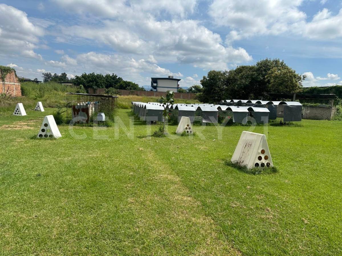 Manzana B 11, Ixtlahuacan De Los Membrillos, Jalisco 45850, Mexico