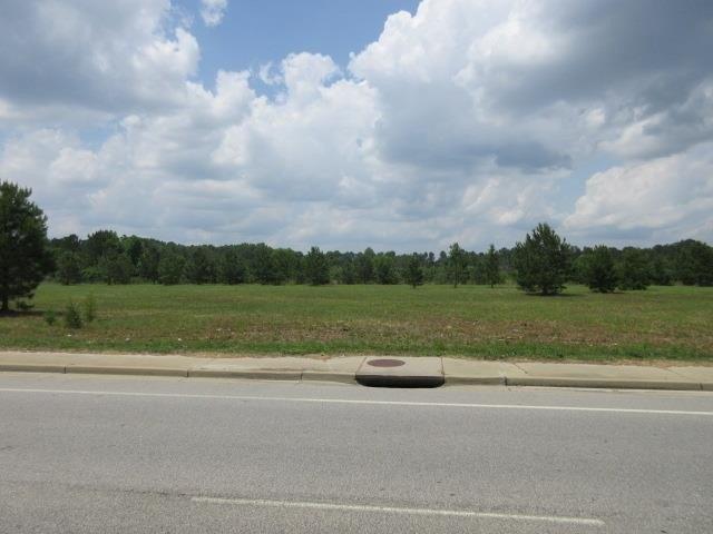 2035 Mccrays Mill Road, Sumter, 사우스 캐롤라이나 29154, 미국