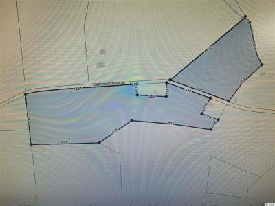 5440 Oak Grove Church Rd., Nichols, South Carolina 29581, USA