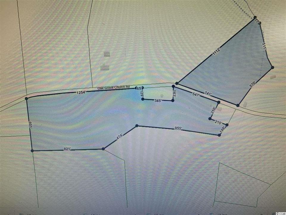 5440 Oak Grove Church Rd., Nichols, South Carolina 29581, Stati Uniti