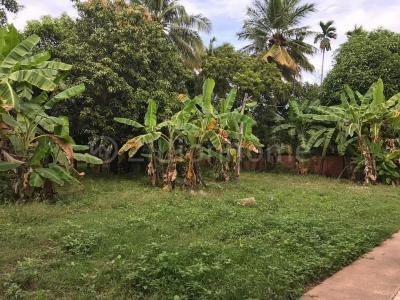 Kbal Kaoh, Chbar Ampov, Phnom Penh, Cambogia