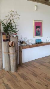 Punta De Piedras, Nueva Esparta 6301, Venezuela