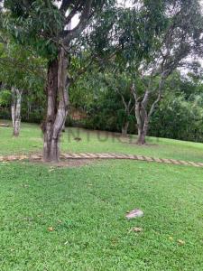 Caracas, Miranda 00001, Venezuela